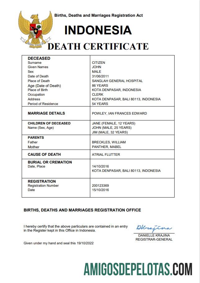 Em branco modelo Word e PDF de certidão de óbito de registro vital da Indonésia